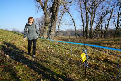 Brandenburg minister of Consumer Protection, Ursula Nonnemacher, at the fence that is placed at the border near Guben. Photo: Ministry of Consumer Protection, Brandenburg, Germany