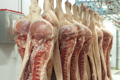 Shipping delays, economic factors slow January pork exports