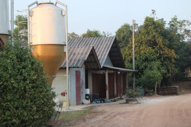 Snapshot of a pig house on a large farm in Prachinburi province, Thailand. Photo: Vincent ter Beek