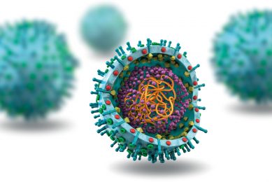 Illustration of the PRRS virus. Illustration: Boehringer Ingelheim