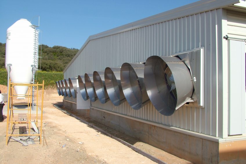 What systems require most energy in pig barns? Photo: Vincent ter Beek