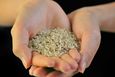 Xylanase can enrich rice bran diets for pigs