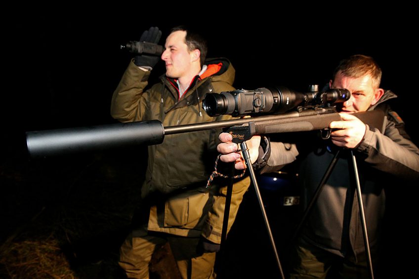 ASF Belgium: 400+ infected boar; France steps up measures. Photo: AFP