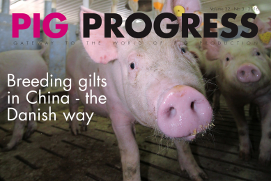 New Pig Progress: Where Denmark meets China