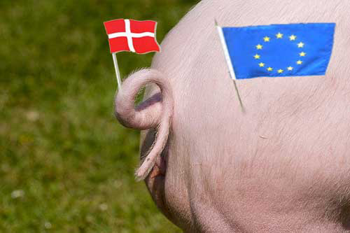Don t let the Danish tail wag the European body