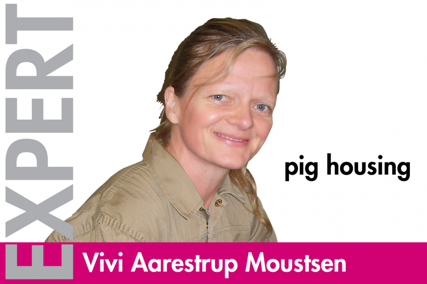 The puzzle of pig production   a Danish perspective