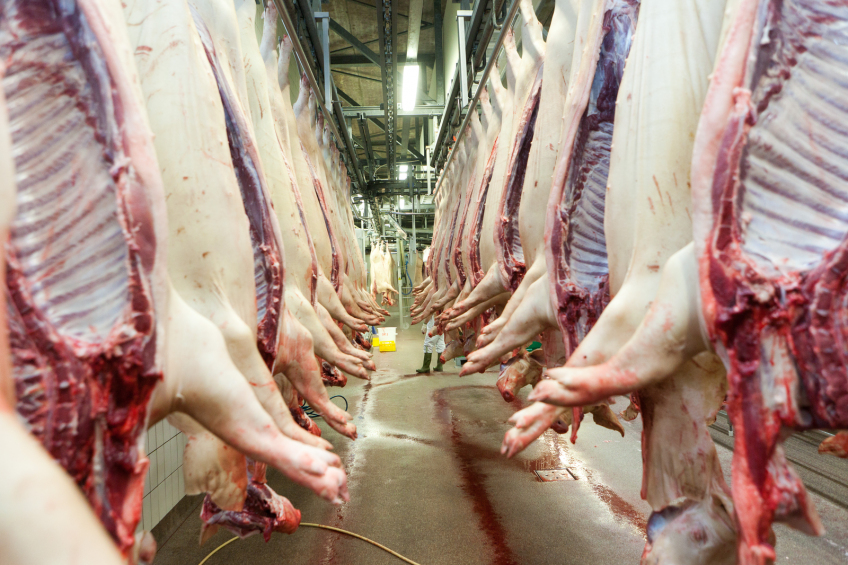 Brazilian pork exports start 2015 lower