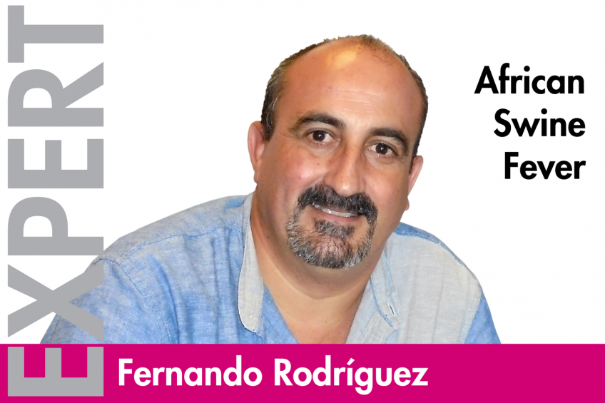 Fernando Rodriguez: ASF vaccine development: A team challenge