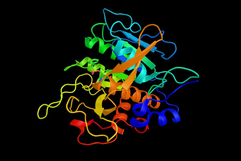 Protease: Ready for the post-antibiotic world. Illustration: ibreakstock