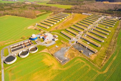 A pig farm with many houses in the Czech Republic. Photo: Kletr