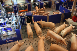 Big Dutchman presents pig farm of 2030