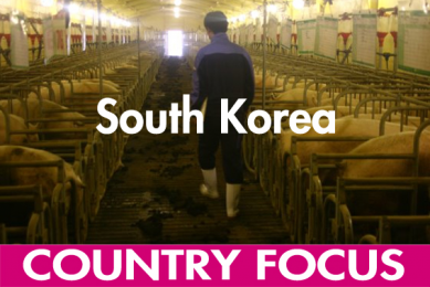 South Korea: A market with potential, and problems