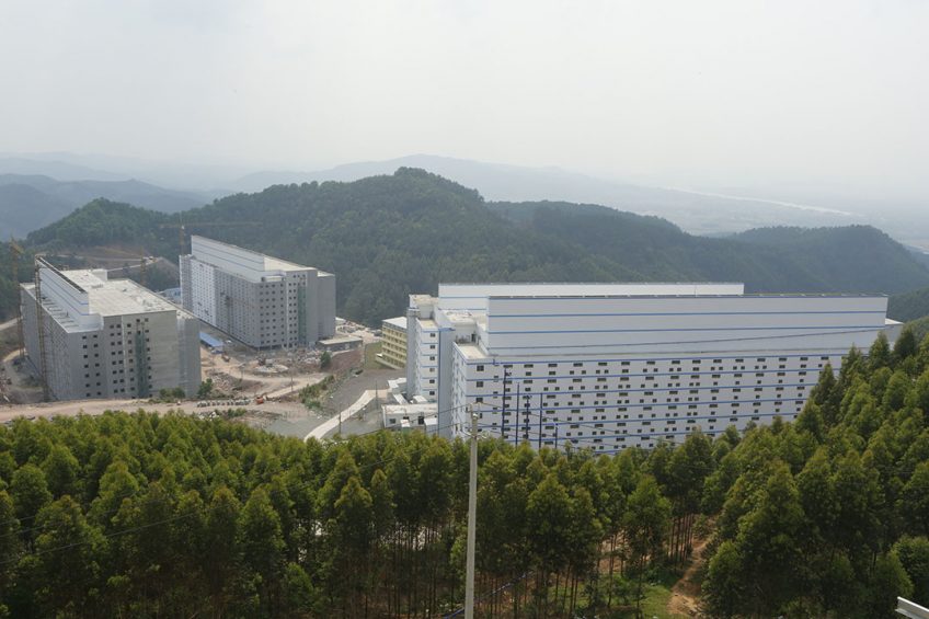 An iconic shot by now, of the multi-storey pig farms in Guangxi province. Chinese pig companies are now being encouraged to also invest in projects abroad. Photo: Henk Riswick