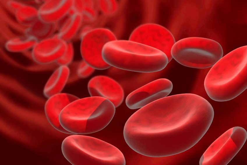 Artist s impression of red blood cells. - Illustration: Dreamstime