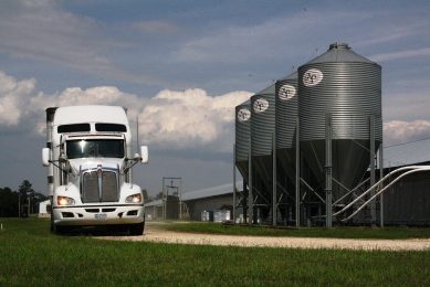 The Coronavirus Food Assistance Program will provide money for farmers impacted by Covid-19. - Photo: Vincent ter Beek