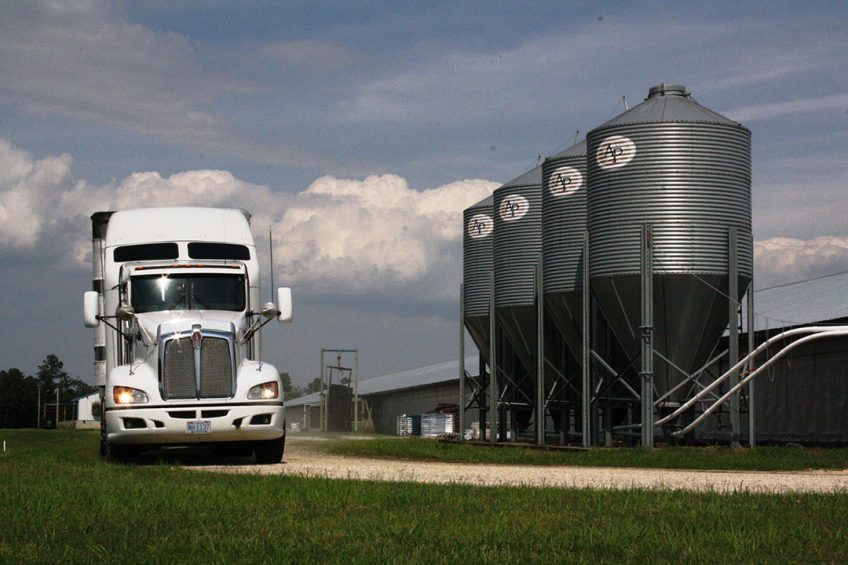 The Coronavirus Food Assistance Program will provide money for farmers impacted by Covid-19. - Photo: Vincent ter Beek