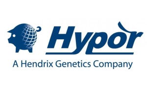 Hypor Maxter boars arrive at Cypriot partner Animalia Genetics