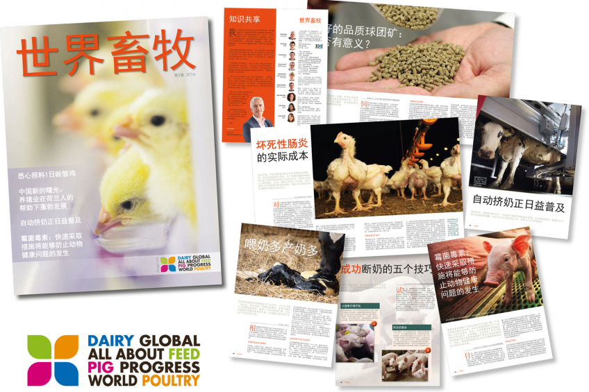 Pig Progress publishes 3rd annual Chinese special