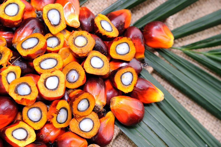 PKFAD is a by-prodcut of the physical refining of palm kernel oil. Photo: Mavesa