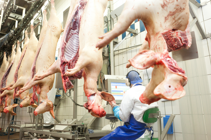 USDA boosts 2015 forecast for pork production