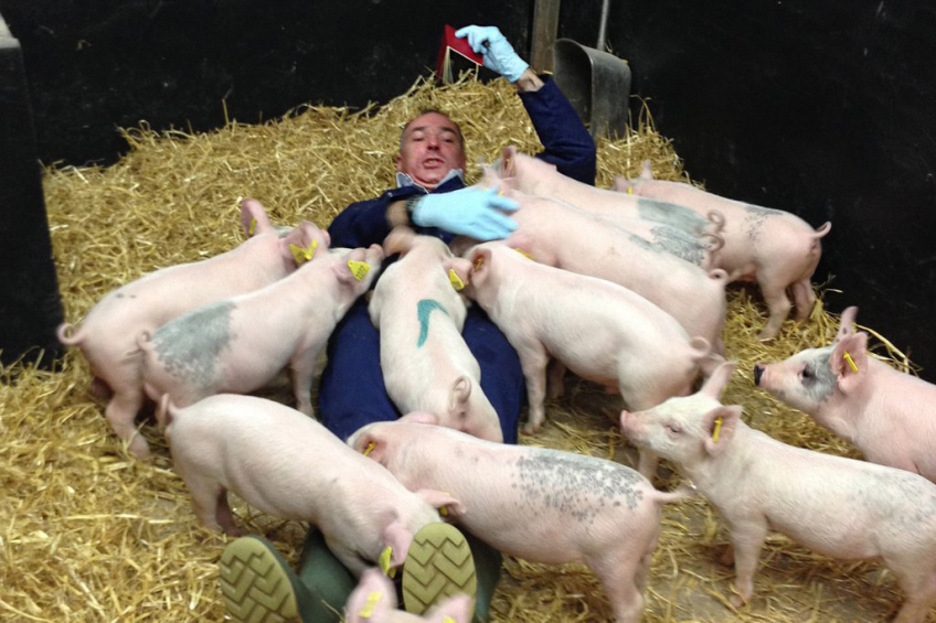 Adrian Philbey experiencing piglets from a novel perspective.