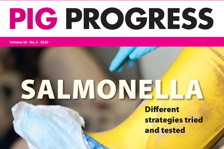 Salmonella, digestibility and fibre in Pig Progress 2