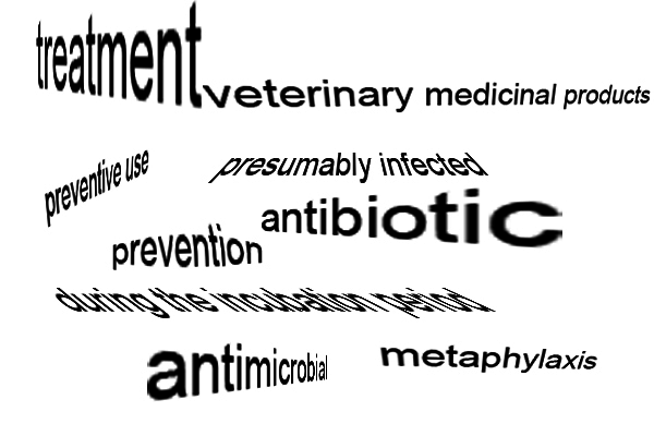 veterinary medicinal products, antibiotic