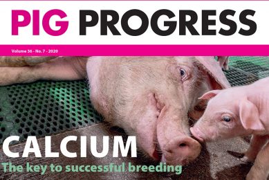 Piglet health, feed flavours and SIV in Pig Progress 7
