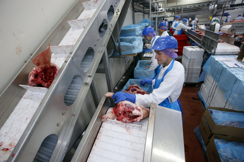 China’s shrinking hog herd to ignite pork trade