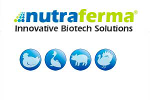 Nutraferma launches peptide protein for pig feed efficiency