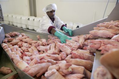 UK pig industry gets boost as China approves processors. Photo: Michel Zoeter