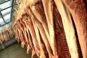USMEF: 2013   pork export opportunities