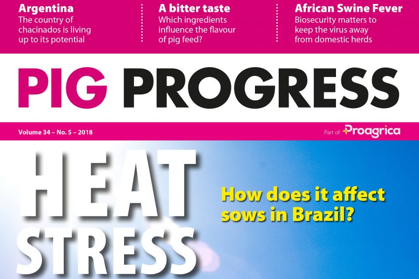 New issue of Pig Progress focuses on heat stress