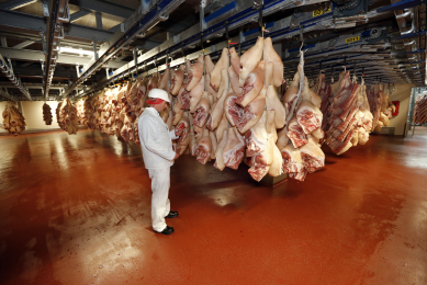 Blood can reveal info about pork quality