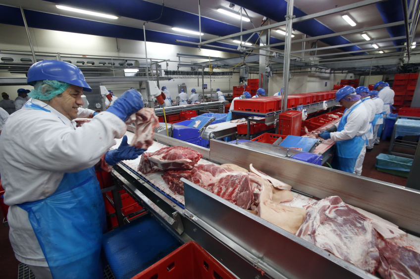 Vast supply lowers pork prices, says Rabobank
