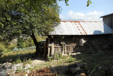 Pork and Mexico   a relationship of centuries