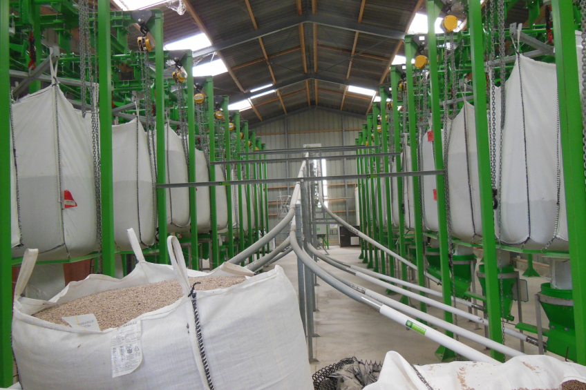 More than 700 diets per year are tested in the Euronutrition centre. Pictured is the pig ( station. [Photo: Philippe Caldier]