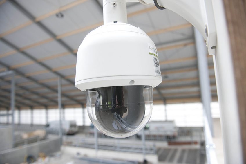 A camera - like used here in a dairy cow house - can be a great monitoring tool for all types of livestock. - Photo: Mark Pasveer