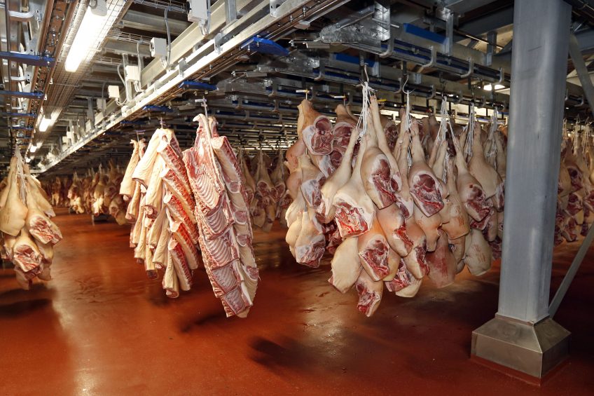 Meatpacker Dunbia delivers British pork to supermarkets. This picture was not taken at a Dunbia plant. Photo: Bert Jansen