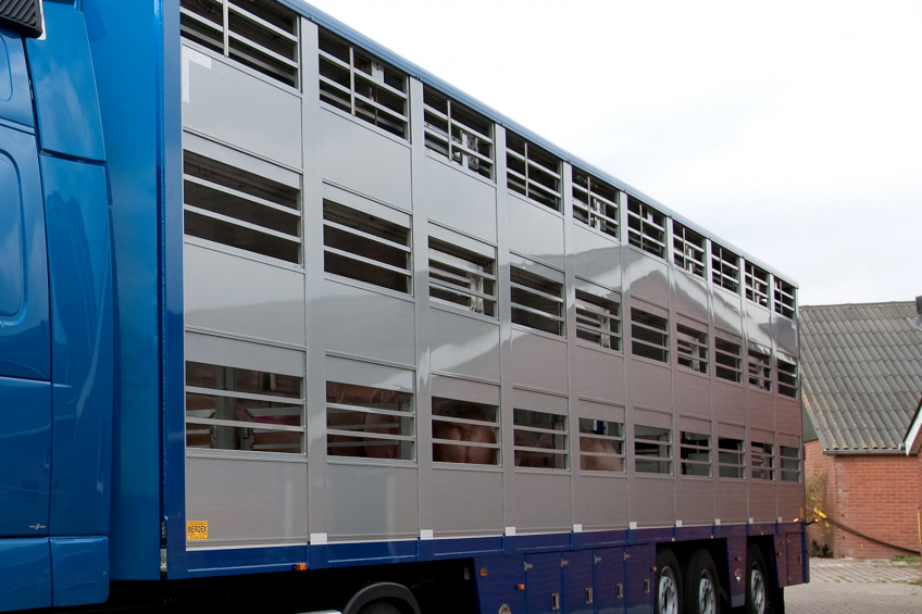 New lorry washing rules to improve pig sector biosecurity