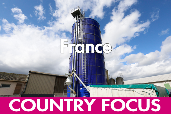 French pig industry - investments needed