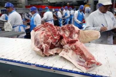 Pork at a processing plant being made ready for export. - Photo: Bert Jansen