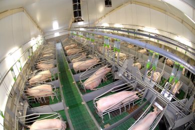 Cherkizovo completes major pork production project. Photo: Cherkizovo