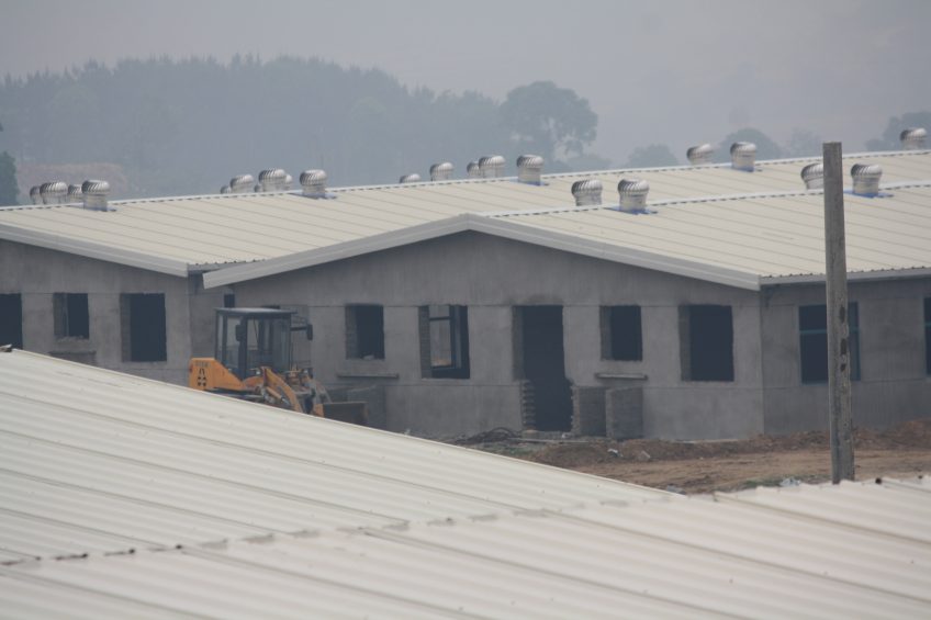 ASF China: Commercial farm hit; virus reaches Tianjin. Photo: Vincent ter Beek