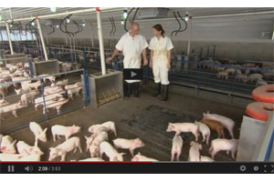 Video: Responsible livestock farming in US