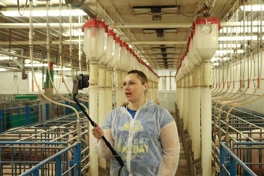 Graduate research assistant Katelyn Zeamer in action during one of the virtual barn tours at the SDSU Swine Education and Research Unit. - Photos: SDSU