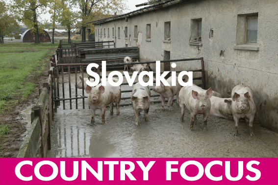 Country focus: Slovakia