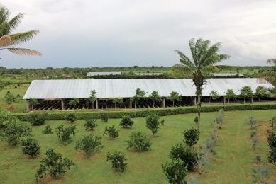 Almost an aerial view of HoCoTec   taken from the top of the farm s water tank. Late in 2017, the farm will expand to triple in size, to eventually cover all steps of a vertical integration, including meat processing. Photo: Vincent ter Beek