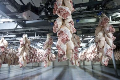 Pig carcass parts are waiting to be exported. - Photo: Bert Jansen