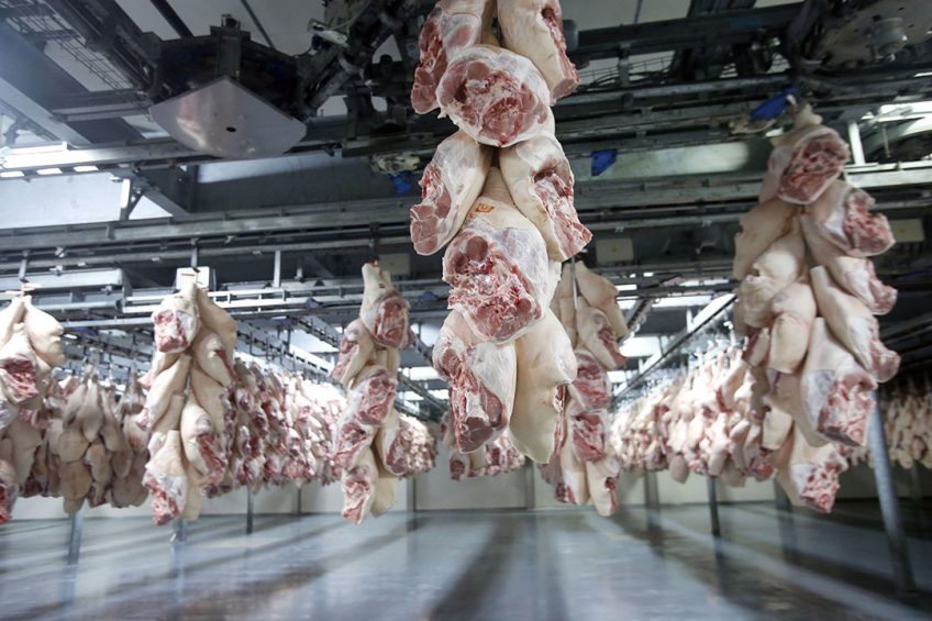 Pig carcass parts are waiting to be exported. - Photo: Bert Jansen